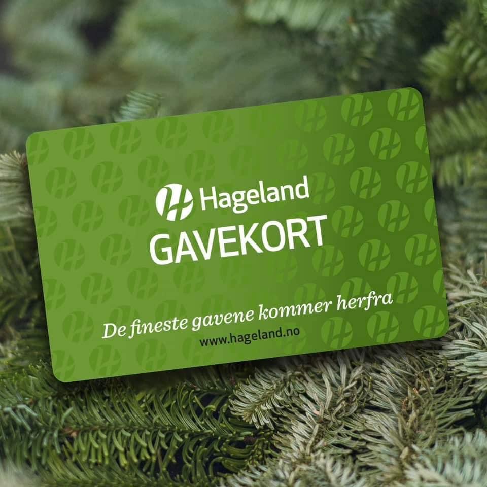 Gavekort fra Hageland Bjørke